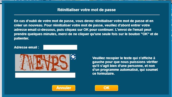 RESET Mot de passe.JPG